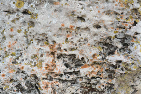 Close up view of stone covered with lichen as background