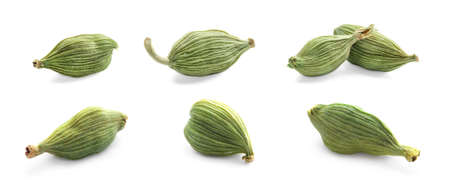 Set with dry cardamom pods on white background. banner designの写真素材