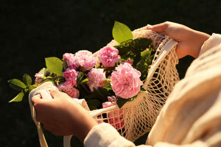 Woman holding mesh bag with beautiful tea roses outdoors, closeupの写真素材