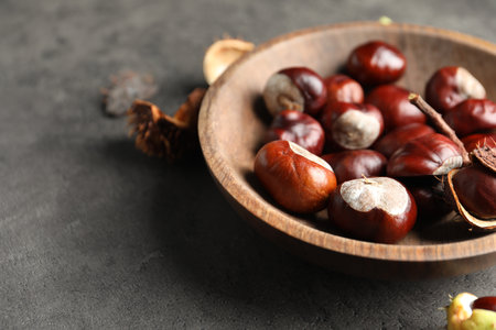 Horse chestnuts in wooden bowl on gray table, closeupの写真素材