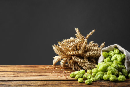 Overturned sack of hop flowers and wheat ears on wooden table against gray background, space for textの写真素材