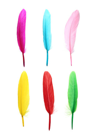 Set with different beautiful color feathers on white backgroundの写真素材