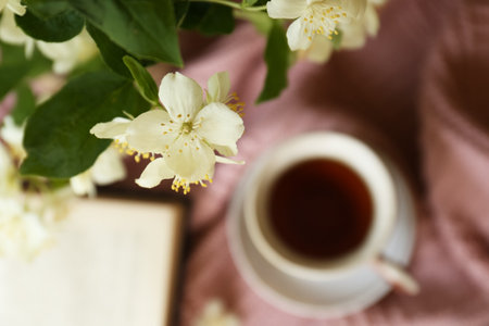 Branch of jasmine plant with beautiful white flowers on blurred background, top view. Space for textの写真素材