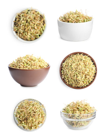 Set with bowls of sprouted green buckwheat on white backgroundの写真素材