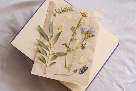 Sheet of paper with dried flowers and leaves on white fabric, top viewの写真素材
