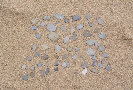 Many stones on wet sand, top view