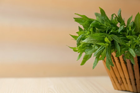 Beautiful green mint in basket on white wooden table, closeup. Space for textの写真素材
