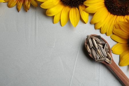 Raw sunflower seeds and flowers on gray table, flat lay. Space for textの写真素材