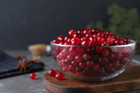 Fresh ripe cranberries on gray table. Space for textの写真素材