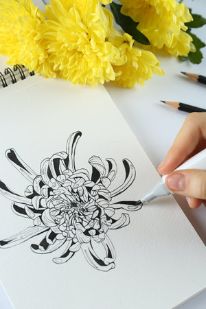 Woman drawing chrysanthemum in sketchbook at white table, closeupの写真素材