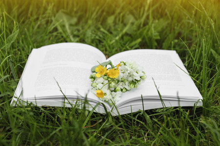 Open book with flowers on green grass outdoorsの写真素材