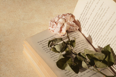 Book with beautiful dried flower on light table, closeupの写真素材