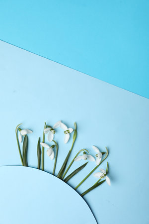 Beautiful snowdrops on light blue background, flat lay. Space for textの写真素材