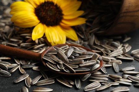 Organic sunflower seeds and flower on gray table