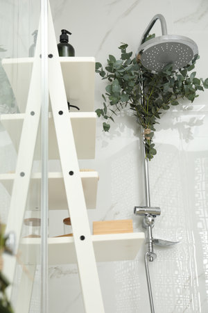 Branches with green eucalyptus leaves in the shower