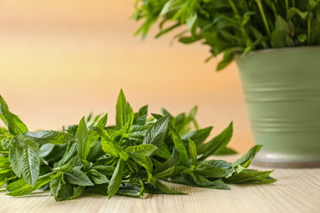 Beautiful green mint on white wooden table, closeup