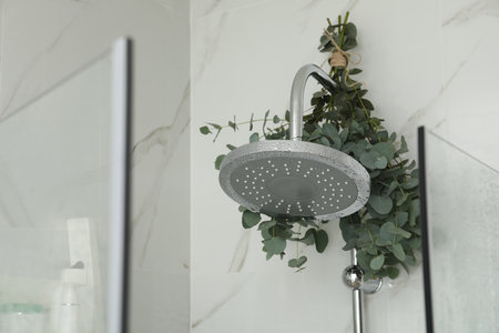 Branches with green eucalyptus leaves in the shower