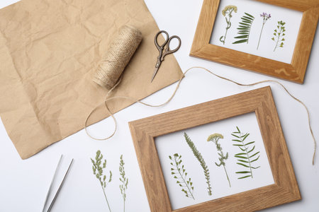 Flat lay composition with frames of wild meadow dried flowers on white backgroundの写真素材