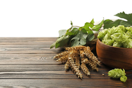 Fresh hop flowers and wheat ears on wooden table against white background, space for textの写真素材