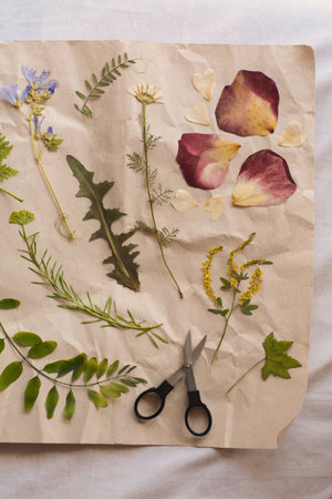 Sheet of paper with dried flowers and leaves on white fabric, top viewの写真素材