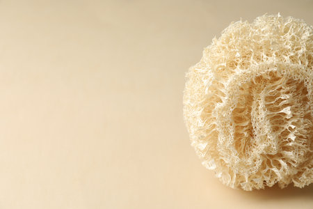 Natural shower loofah sponge on beige background, closeup. Space for textの写真素材