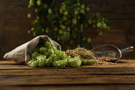 Fresh green hops, wheat grains and spikes on wooden tableの写真素材