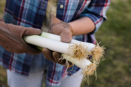 Woman holding fresh raw leeks outdoors, closeupの写真素材
