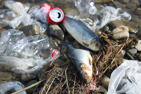 Dead fish among trash near river. environmental pollution concept