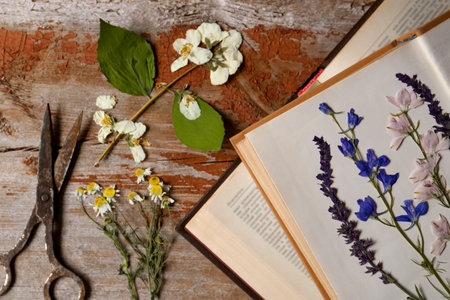 Old scissors with beautiful dried flowers and books on wooden table, flat layの写真素材
