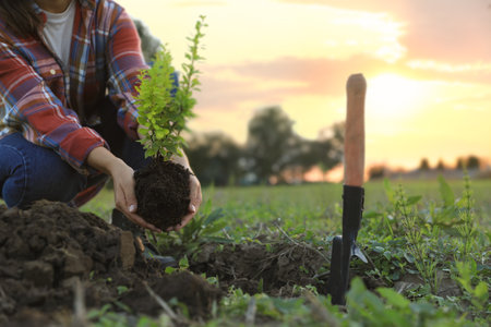 Woman planting tree in countryside, closeup viewの写真素材