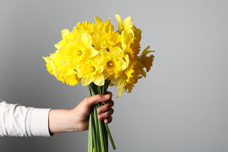 Woman holding beautiful daffodil bouquet on light gray background, closeup. Space for textの写真素材