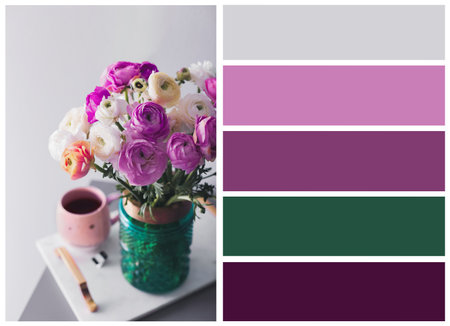 Color palette appropriate to photo of beautiful ranunculuses on table in roomの写真素材
