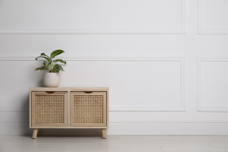 Green plant on wooden chest of drawers near white wall indoors. interior designの写真素材