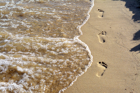 Sandy beach with footprints near sea on sunny day