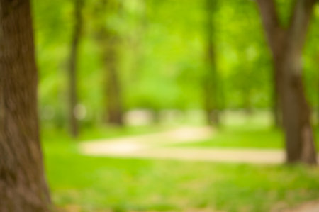 Walkway between trees in park, blurred viewの写真素材