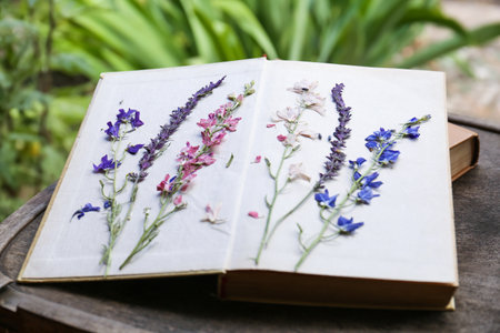 Book with beautiful dried flowers on wooden table outdoors, closeup