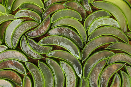 Sliced fresh aloe vera as background, top viewの写真素材