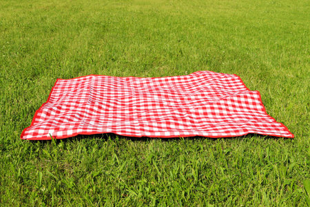 Checkered picnic tablecloth on fresh green grass outdoors
