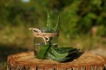 Green aloe vera leaves and glass jar on stump outdoorsの写真素材