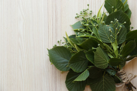 Bunch of beautiful linden plant on white wooden table, top view. Space for textの写真素材