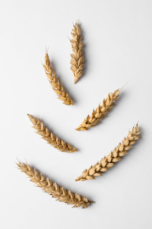 Spike shape made with ears of wheat on white background, flat layの写真素材