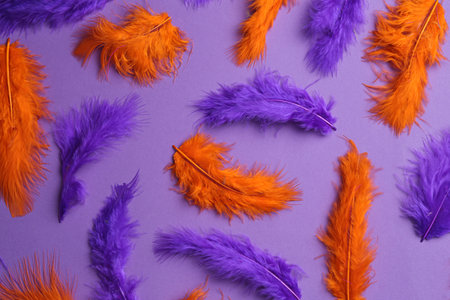 Bright beautiful feathers on violet background, flat layの写真素材