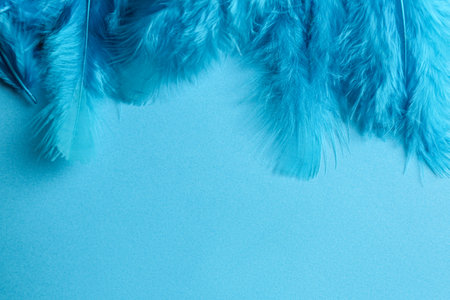 Beautiful feathers on light blue background, flat lay. Space for textの写真素材