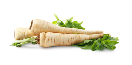 Tasty fresh ripe parsnips on white backgroundの写真素材