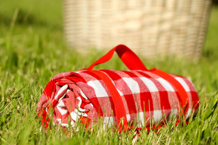 Rolled checkered picnic tablecloth on green grass, closeupの写真素材