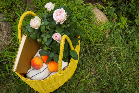 Yellow wicker bag with roses, book and peaches on green grass outdoors, above viewの写真素材