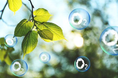 O2 molecules in bubbles and tree branch with green leaves on sunny day. oxygen release conceptの写真素材
