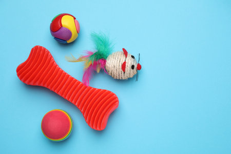 Different pet toys on light blue background, flat lay. Space for text