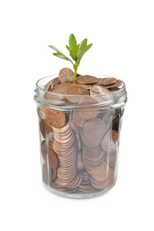 Jar with coins and green plant on white background. investment concept