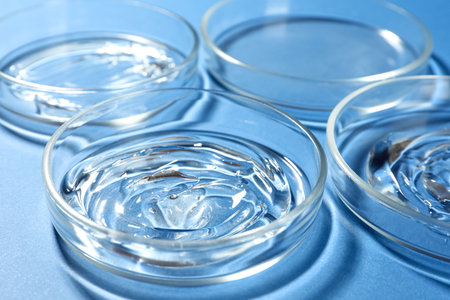 Petri dishes with liquids on blue background, closeup